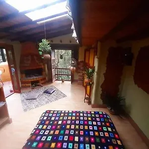  Pensión Botanico
